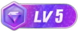 LV5 等级-LV5-伏羲SAAS