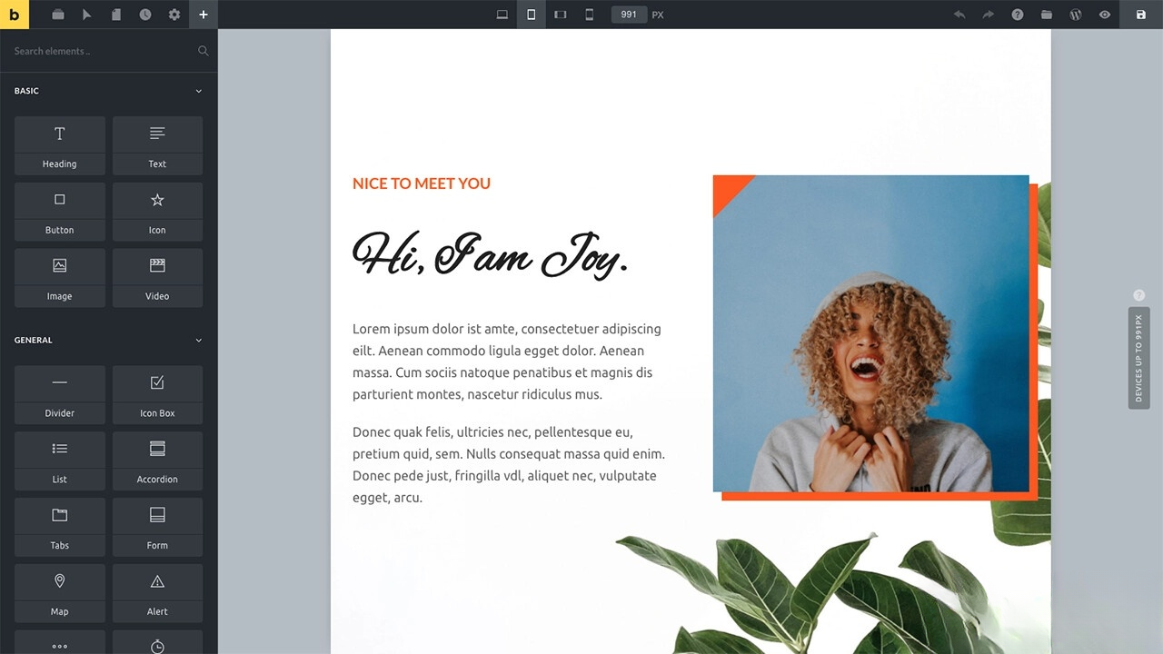 WordPress主题Bricks v1.9 破解版-伏羲SAAS