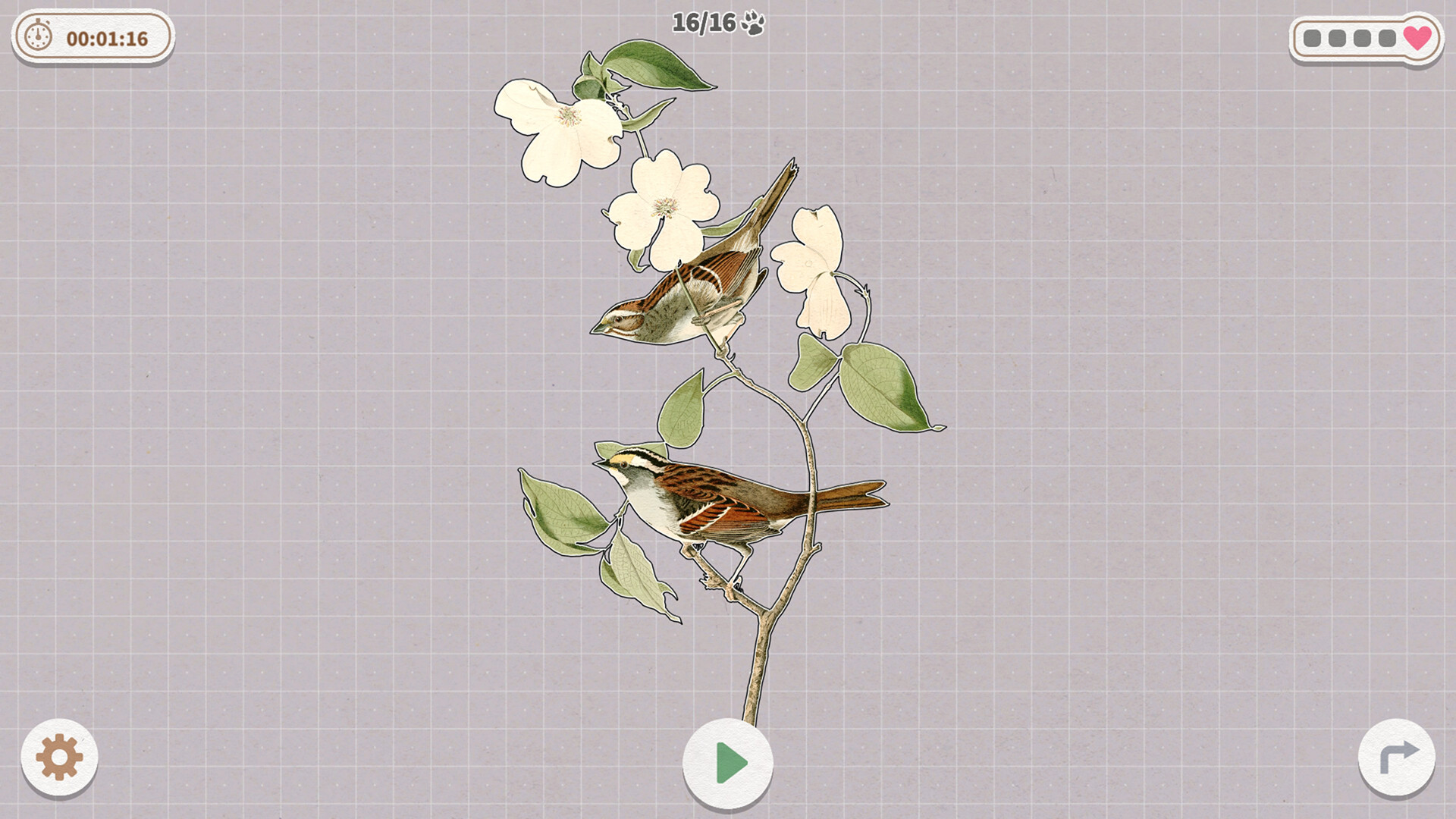 《挤在一起的鸟鸟/Birds Huddled Together》PC中文版下载-含Build.14298719-伏羲SAAS